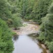 Odbor za zaštitu životne sredine: Mini hidroelektrana Zvonce na Rupskoj reci biće srušena 17