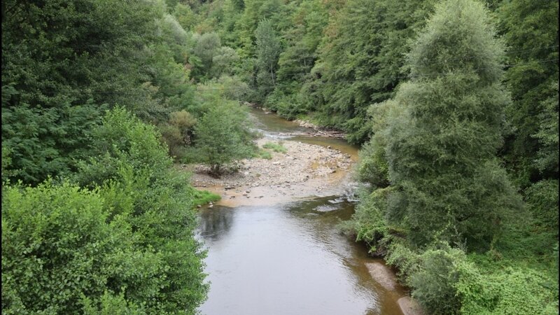 Napadnut aktivista "Bitke za Vlasinu" 1