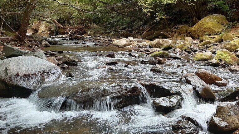 SSP u Vlasotincu: Ugroženo vodosnabdevanje 20.000 ljudi 1