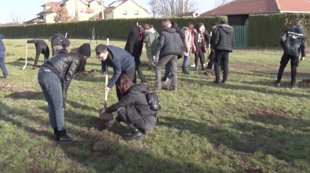 Paraćinski učenici učestvovali u akciji “Posadi svoj hlad” 1