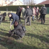 Paraćinski učenici učestvovali u akciji “Posadi svoj hlad” 1