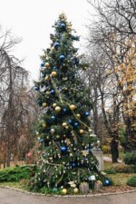 Naš pogled srcem: Mozzart i „Plava školjka“ u novogodišnjoj humanitarnoj akciji u Botaničkoj bašti 3