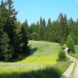 SSP Užice: Sprečiti pretvaranje 70 hektara Nacionalnog parka Tara u građevinsko zemljište 7