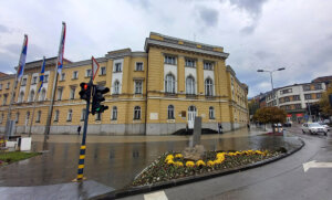 Narodna poslanica kritikovala nameru užičke vlasti da formira javno-privatno partnerstvo za održavanje javne rasvete 2