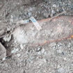 MUP: Bezbedno uništena avio-bomba u selu Tople kod Bora 16