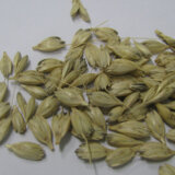 Šta se u praistoriji koristilo umesto testova za trudnoću: U 70 odsto slučajeva dokazivao da li je žena trudna ili ne 2