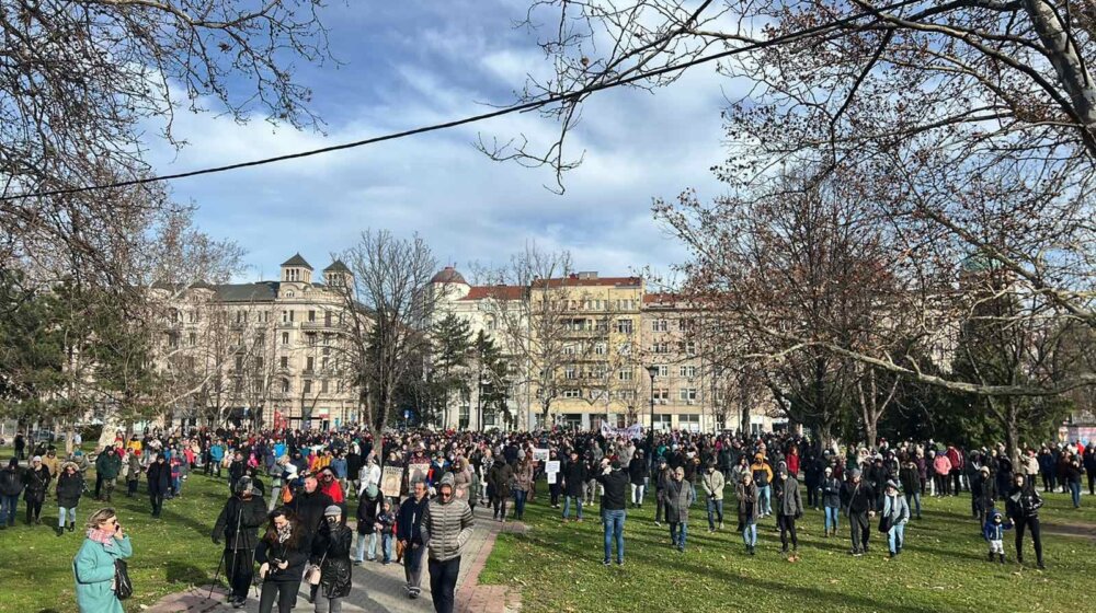 Organizatori očekivali veći broj građana: Završen protest protiv aerozagađenja u Beogradu (FOTO/VIDEO) 1