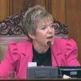 Elvira Kovač sa Jožefom Mađarom: Cilj Srbije je članstvo u EU 7