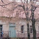 Novo lice i namena za Pupinovu školu u Idvoru 5