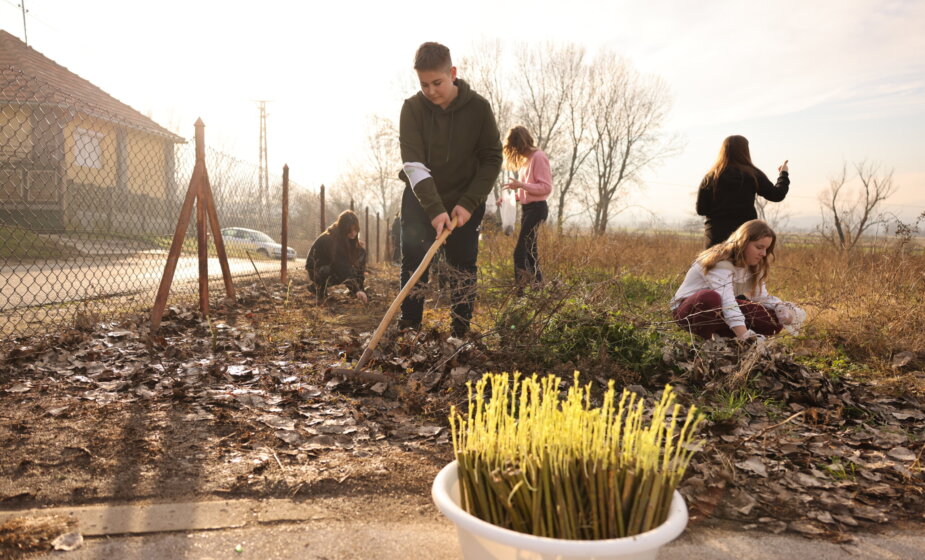 SBB fondacija zasadila 1.200 vrba u Nišu 1
