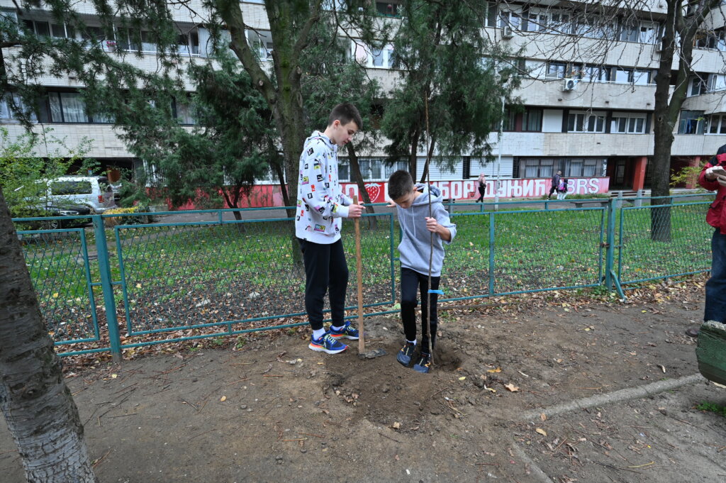 Počinje velika akcija pošumljavanja Srbije - 100.000 sadnica za lepši i čistiji vazduh 2