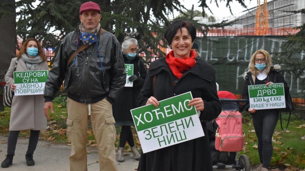 "Kinezi nude električna vozila, ali problem globalnog zagrevanja ipak rešava niška Palilula": Čemu služe opštinski automobili tapacirani plastičnom travom 3