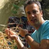 Od praistorijskog piva do testa za trudnoću: Čemu je sve služila pšenica u poslednjih 10.000 godina? 9