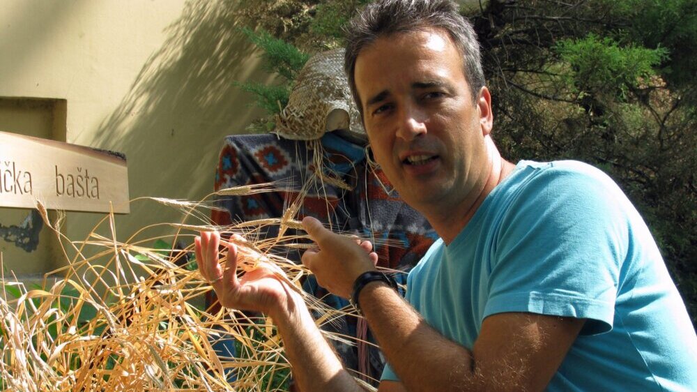 Šta se u praistoriji koristilo umesto testova za trudnoću: U 70 odsto slučajeva dokazivao da li je žena trudna ili ne 2