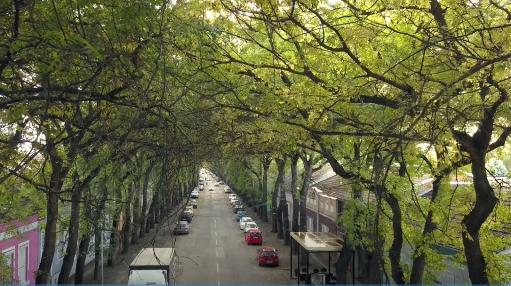 Opozicija traži ostavku gradonačelnika Kikinde zbog blokade računa grada 1