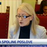 Odbor za spoljne poslove trebalo da bude otvoren za javnost, ali nije održan: Raguš iz SNS optužila Borka Stefanovića da je obmanuo javnost, on kaže da je mislio da poštuje Poslovnik 1