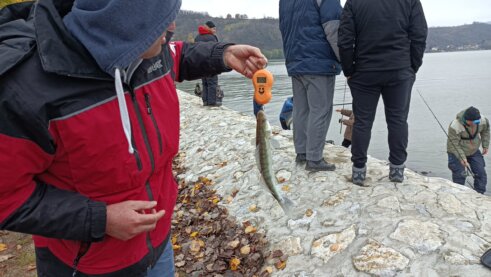 "Kad jednom postaneš varaličar, to te drži do kraja": Memorijalni turnir u Donjem Milanovcu okupio ribolovce iz nekoliko država 11