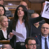 Ivana Parlić: Šestogodišnja devojčica vraćena iz Švedske u svoje selo kod Loznice 5