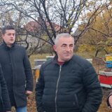 Pčelarstvo na teritoriji grada Bora poslednjih godina beleži porast 6