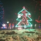 Grad Zaječar od 2017. do 2022. godine iz budžeta izdvojio oko 100.000 evra za dekorativnu rasvetu 4