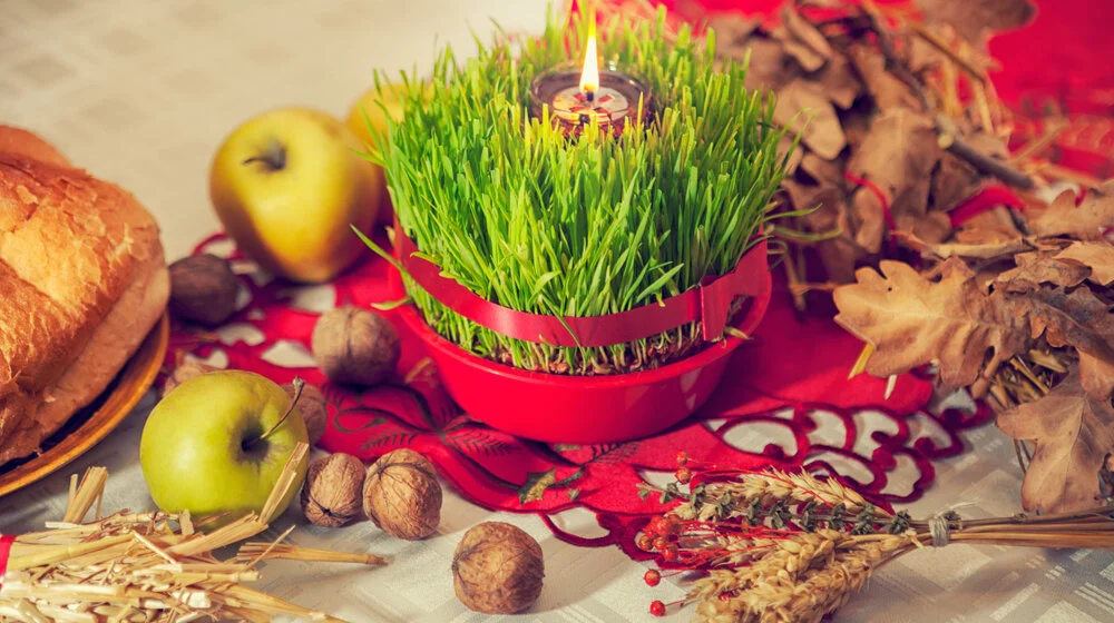 Šta božićna pšenica simbolizuje i kako se pravilno uzgaja? 1