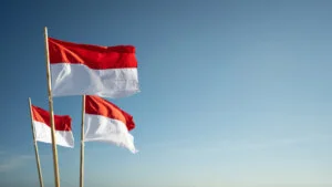 Džakarta više neće biti glavni grad Indonezije, evo gde se seli prestonica