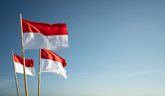 Džakarta više neće biti glavni grad Indonezije, evo gde se seli prestonica 11