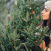 Apel Zelenila-Beograd da se za Novu godinu i Božić kupuju jelke sa busenom 8