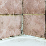 Kako na prirodan način da uklonite vlagu i buđ u vašem domu? 5