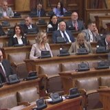 O čemu raspravljaju poslanici: Ko je na fotografiji sa Andrejem Vučićem, šta će biti sa Kosovom i sa srpskim putem u EU 11
