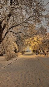 U Moskvi visina snega 34 centimetra: Oboren rekord star 81 godinu (FOTO) 7