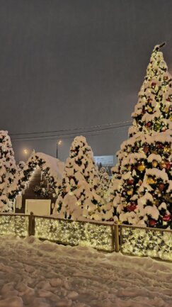 U Moskvi visina snega 34 centimetra: Oboren rekord star 81 godinu (FOTO) 6