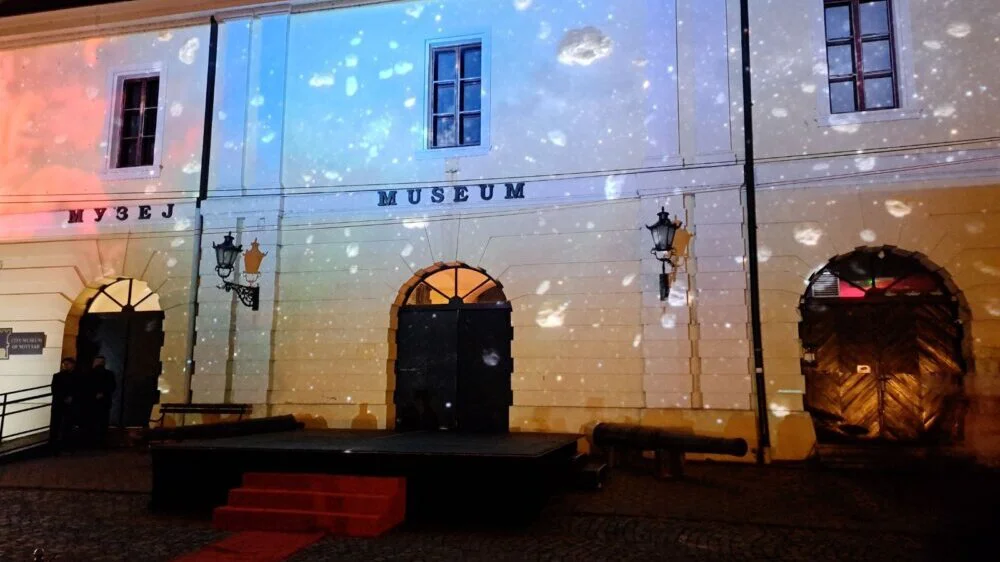 Putovanje kroz blistavi um poznate naučnice: Izložba "Mileva: Mi smo stena" u Muzeju grada Novog Sada 4