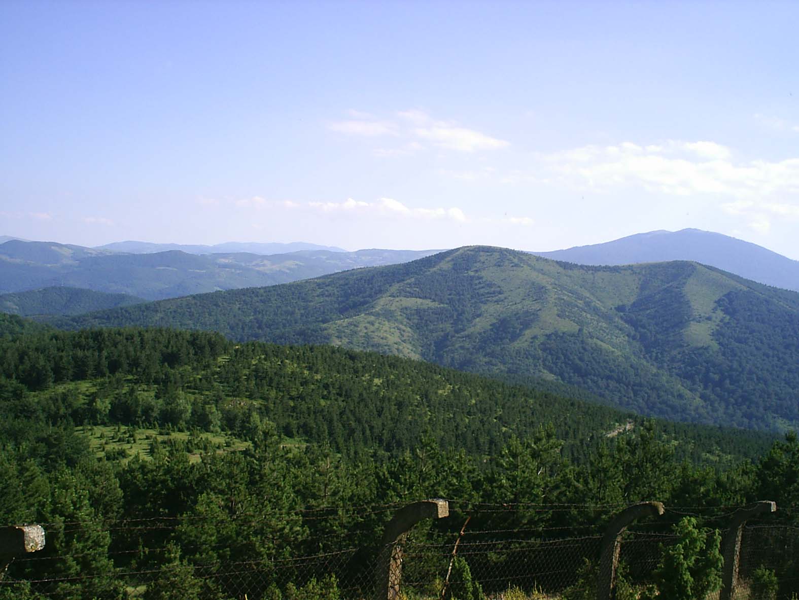 goč foto wikipedia Bobik