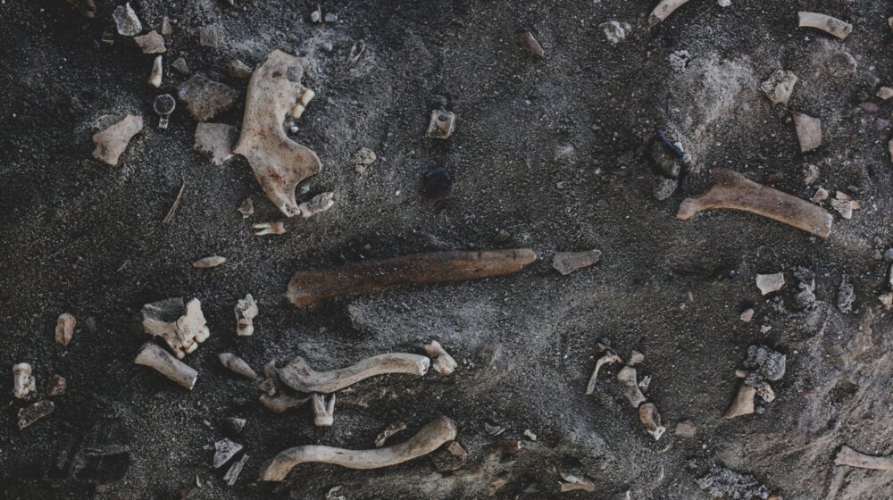 Kako evropske močvare otkrivaju brutalnost praistorijskog života? 1