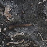 Kako evropske močvare otkrivaju brutalnost praistorijskog života? 6