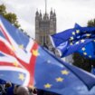Istraživanje: Dve trećine Britanaca bi se ponovo pridružilo EU 35