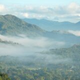 Životna sredina: Smrtonosna bitka za spas prašuma na Filipinima 11