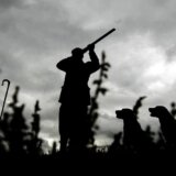 Srbija i nesreća: Da li deca u smeju u lov 7