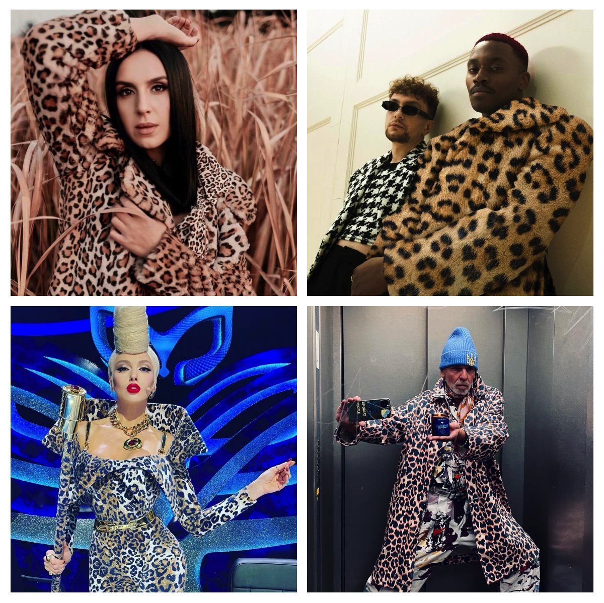 Celebrities wearing leopard skin clothing