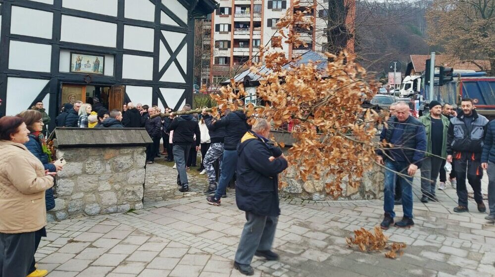 Majdanpečani organizovano išli po badnjak 1