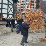 Majdanpečani organizovano išli po badnjak 1