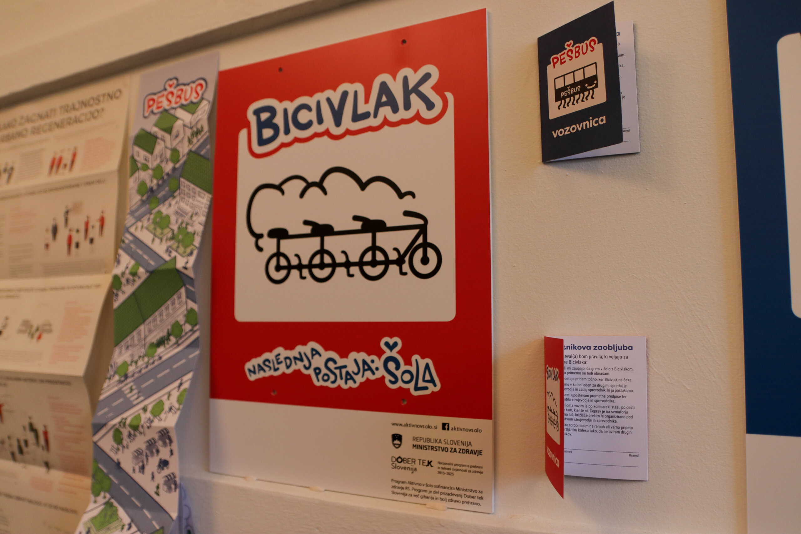 Šta su "Pešbus" i "Bicivlak": Kako se organizuje prevoz školske dece u Sloveniji? 8
