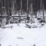 "Pronađite snajperiste": Nacionalna garda Ukrajine testira pažnju svojih pratilaca na Tviteru 7