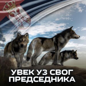 "Poruka 'čopora' kreirana u jazbini alfa mužjaka": Čemu služi kampanja podrške Vučiću sa fotografijama vukova? 2