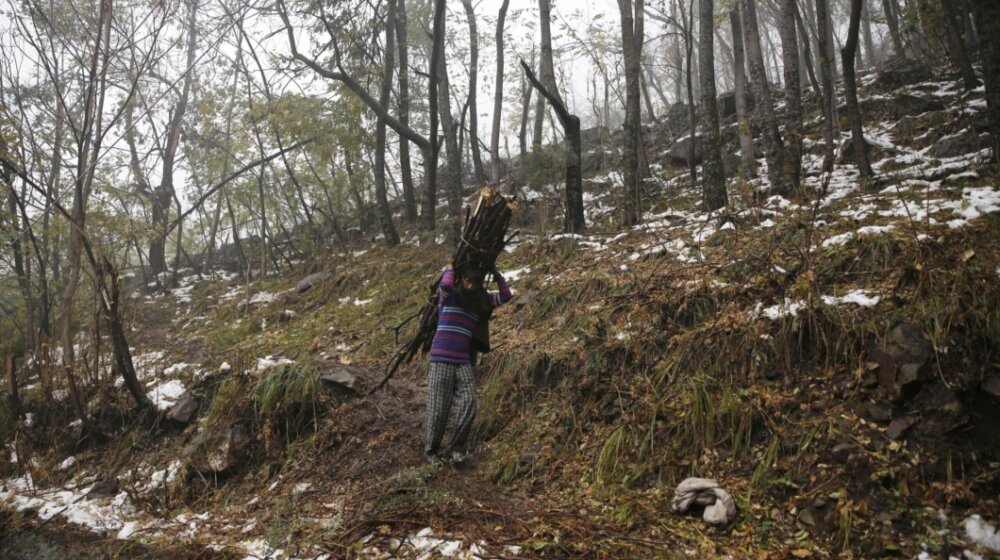 Rus pobegao u divljinu od Putinove delimične mobilizacije, i dalje živi u šumi i protivi se ratu 1