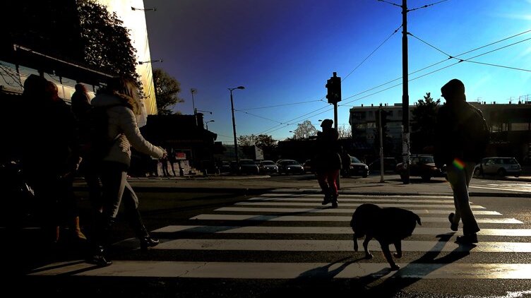 Zašto ne bi trebalo da gledate pravo dok šetate centrom Beograda? 1