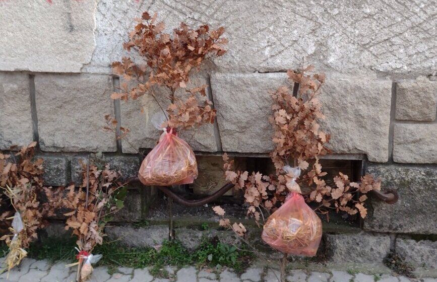 "Ne secite mladice hrasta za badnjake": Apel kragujevačkog Spomen-parka u Šumaricama 1