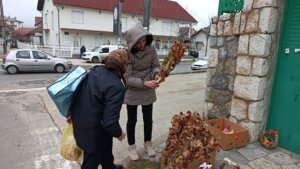 Koliko koštaju badnjaci u Srbiji: Na istoku Srbije ljudi ih i dalje seku, dok se na jugu kupuju po visokim cenama 4