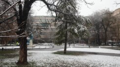 Kako izgleda prvi sneg ove godine u Beogradu? (FOTO) 10